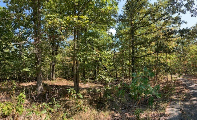 Property Photo:  Lot 1 Roxburgh Drive  AR 72715 