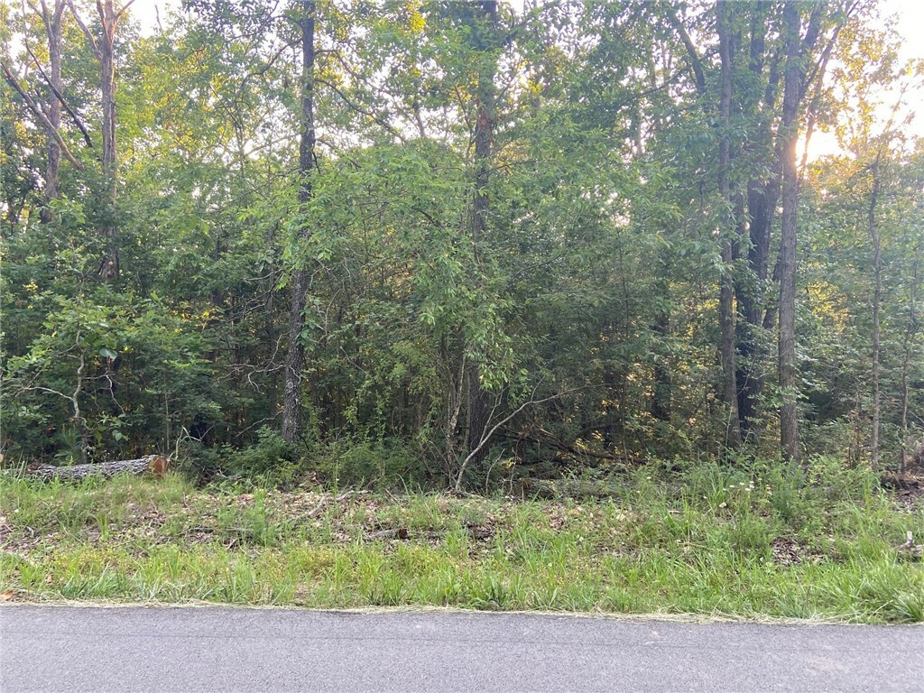 Property Photo:  Lot 4 Kincardine Drive  AR 72715 