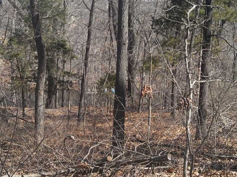 Property Photo: -- Tibberton Circle Drive AR 72714