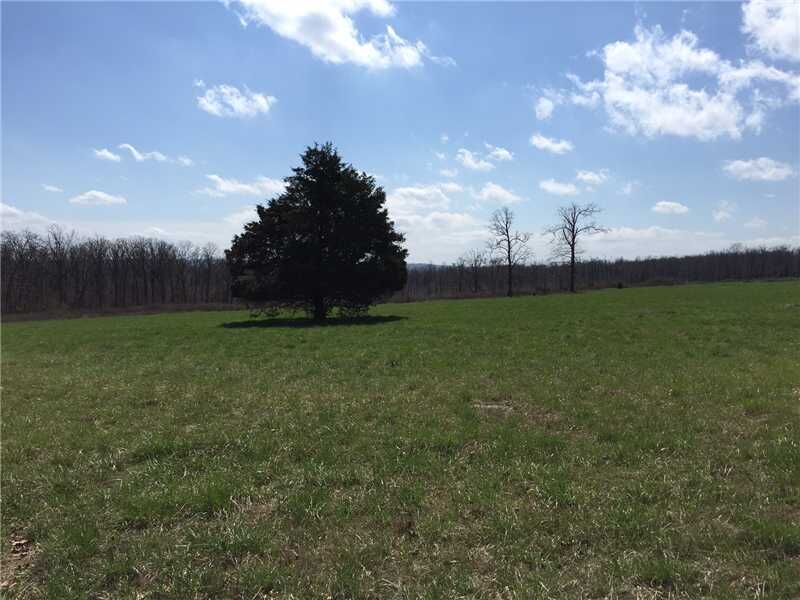 Property Photo:  (14.00  Acres)  N. Creek Tract 2C & 2D Road  AR 72744 