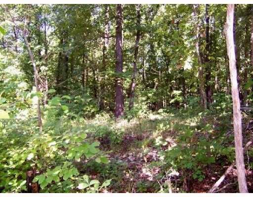 Property Photo:  Tract 20 Hillview Acres  MO 65730 