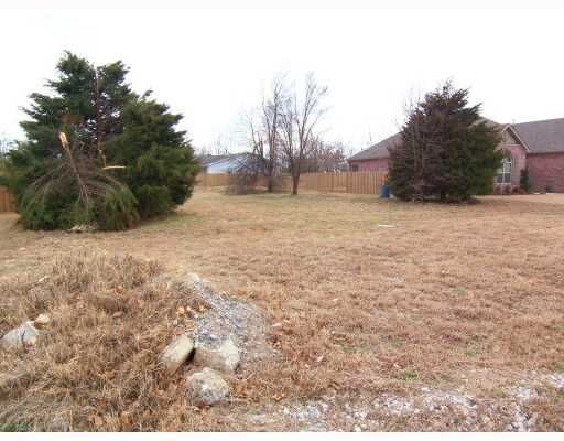 Property Photo:  4410 Canopy Meadows Drive  AR 72758 