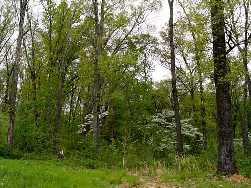 Property Photo: 1400 Le Chesnay Drive AR 72719
