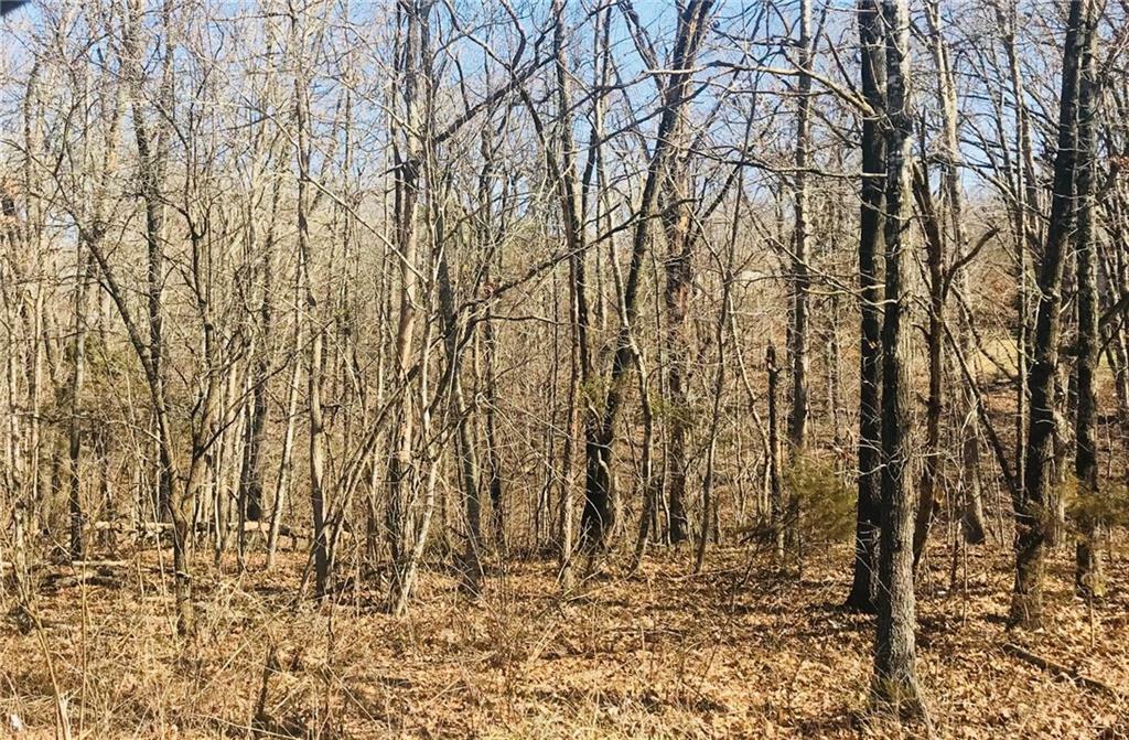 Property Photo: Marionet Circle AR 72714