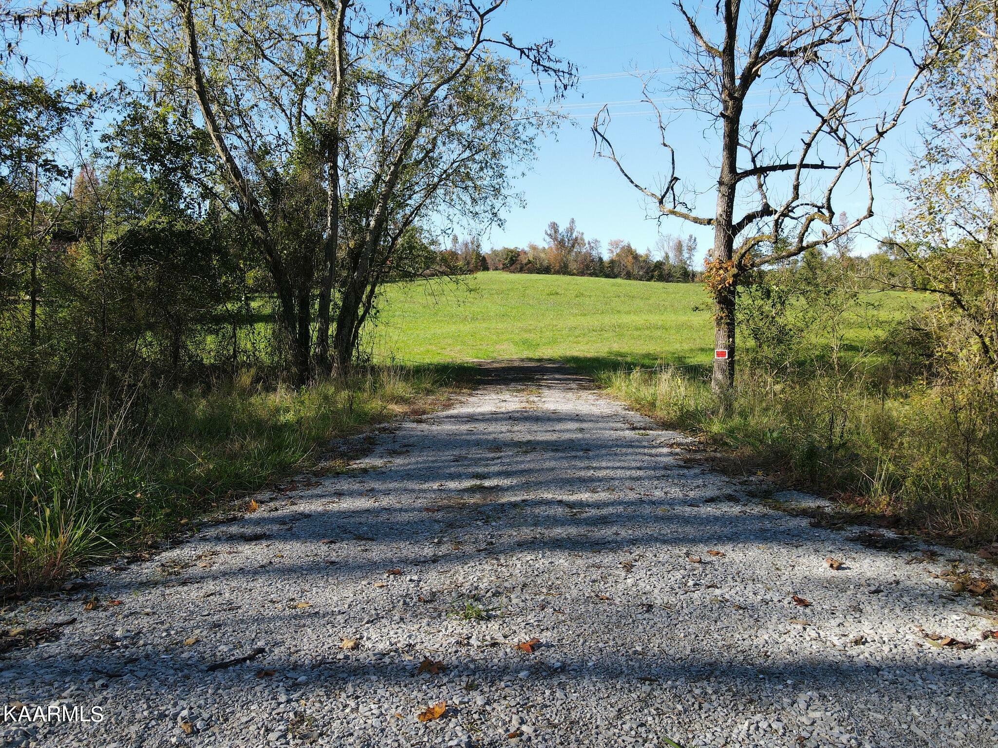 Property Photo:  Sugar Grove Valley Rd  TN 37748 