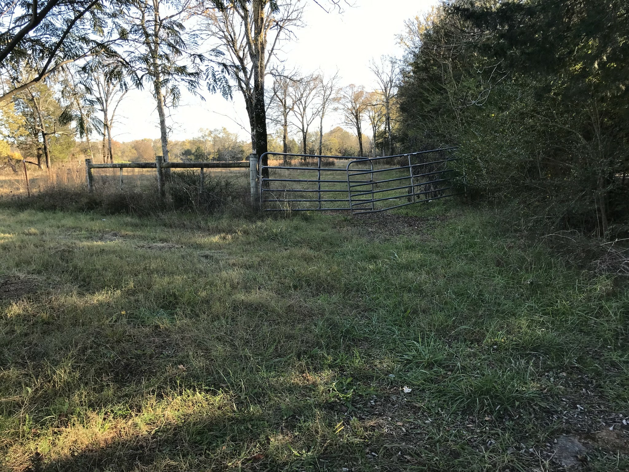 Property Photo:  2405 Highway 64  TN 37091 