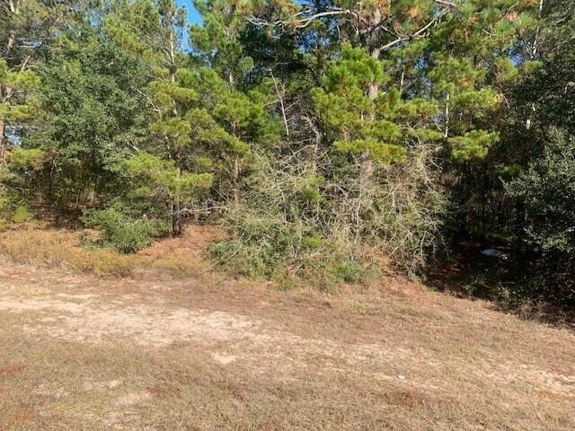 Property Photo:  Xxx Hwy. 90  FL 32539 