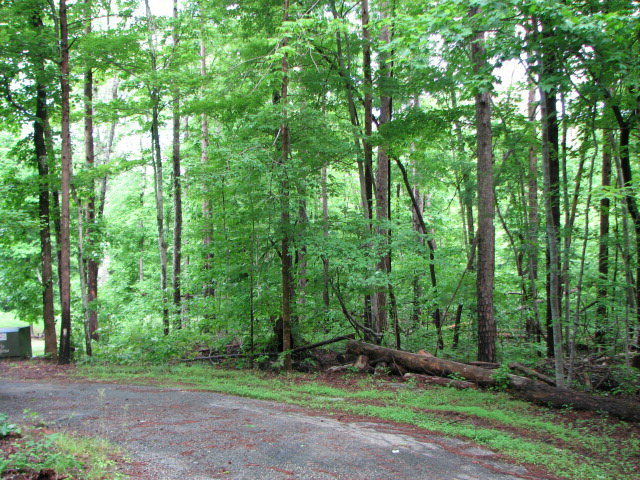 Property Photo:  Lot 48 Beechwood Court  VA 23927 