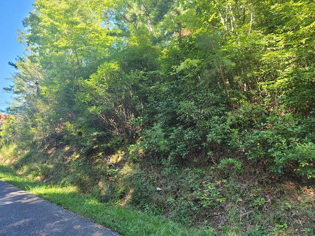 Property Photo: Lot 1492 Beach Front Drive TN 37876