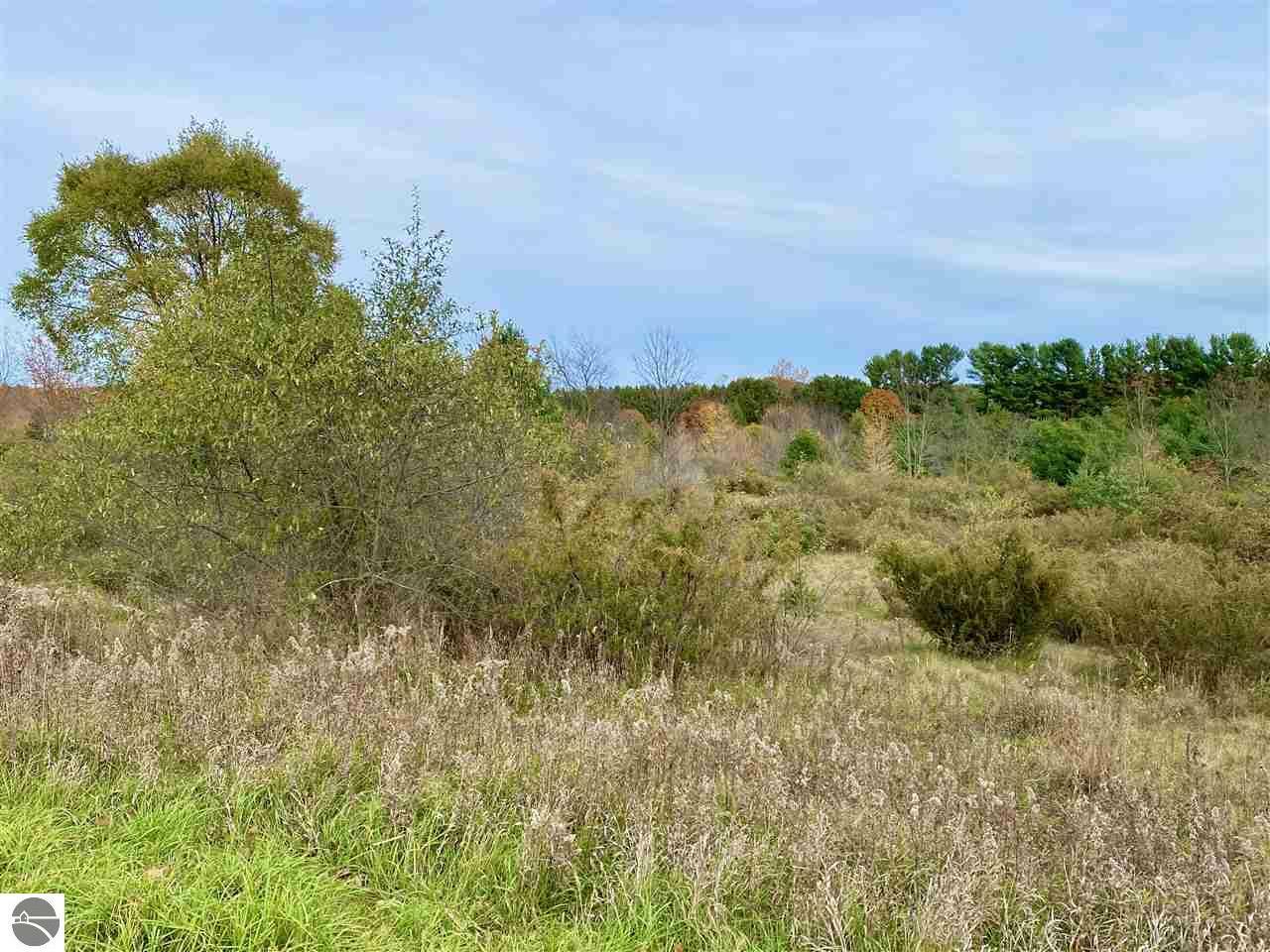 Property Photo: 000 Michigan Avenue MI 49635