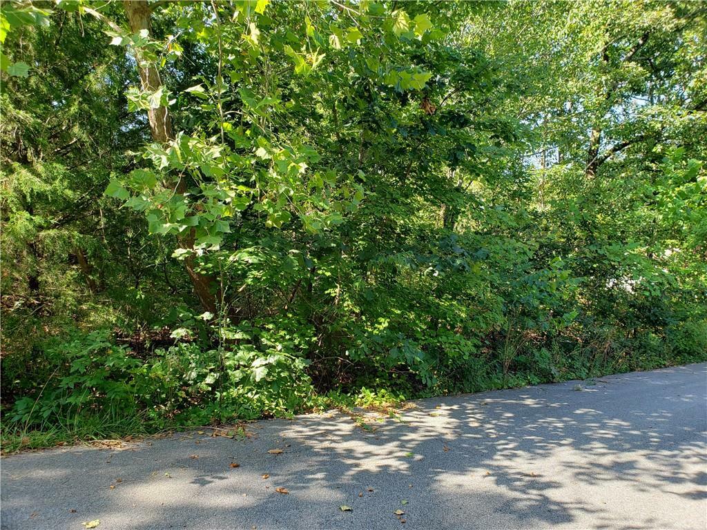 Property Photo:  Lot 60, Block 4 W Crook Lane  AR 72714 