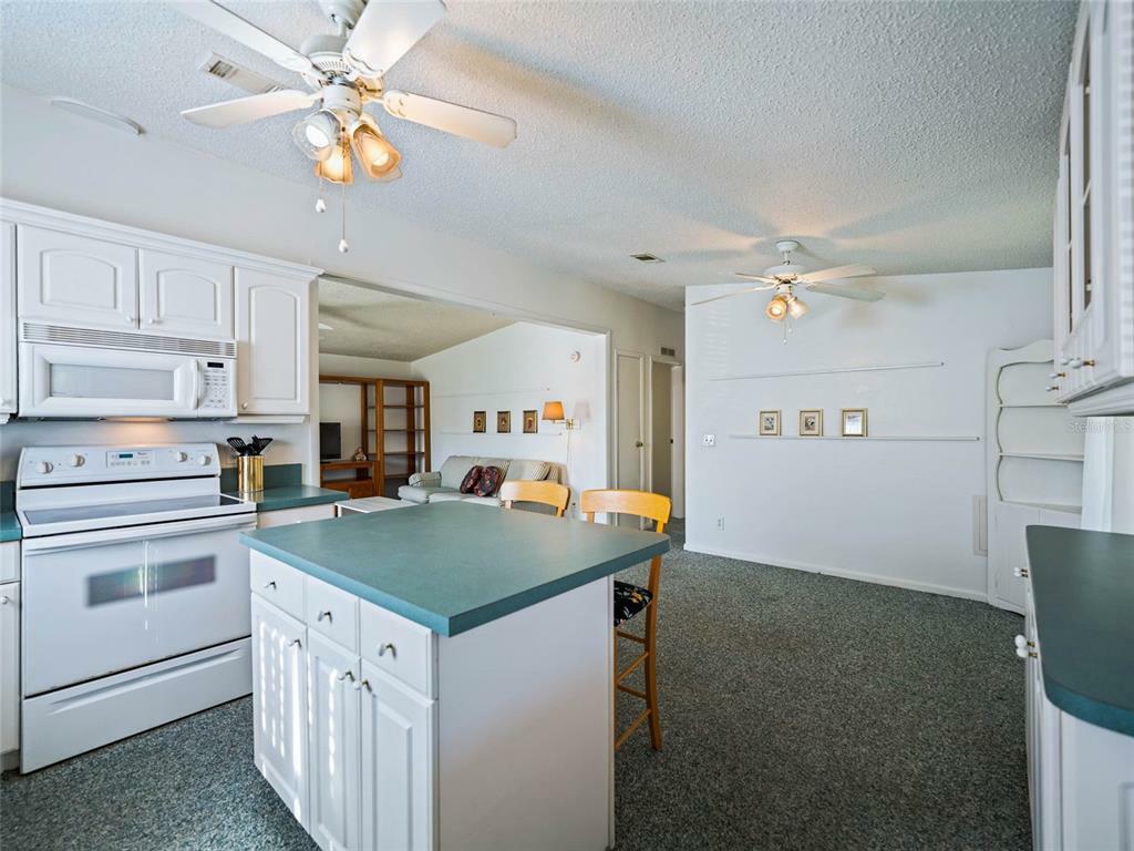 Property Photo:  529 Rainbow Boulevard  FL 32159 