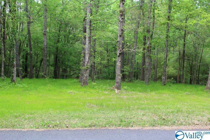 Property Photo:  Lot 10 Pine Lake Trail NW  AL 35016 