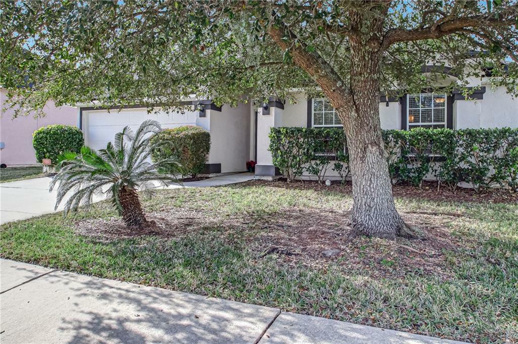 Property Photo:  14036 Fish Eagle Drive  FL 32226 