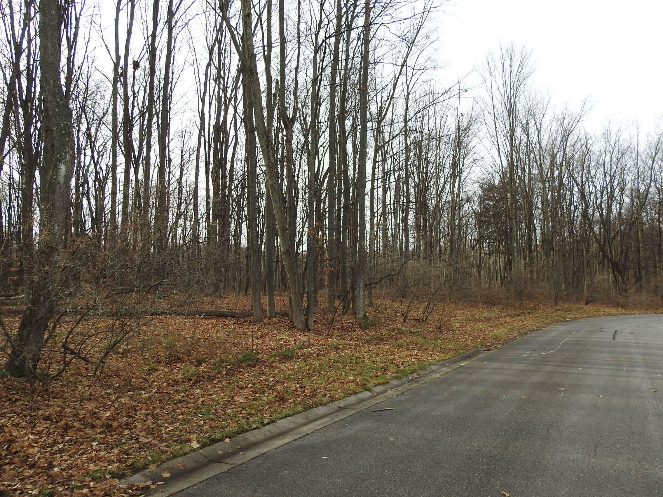 0 Creek Drive  Hart MI 49420 photo