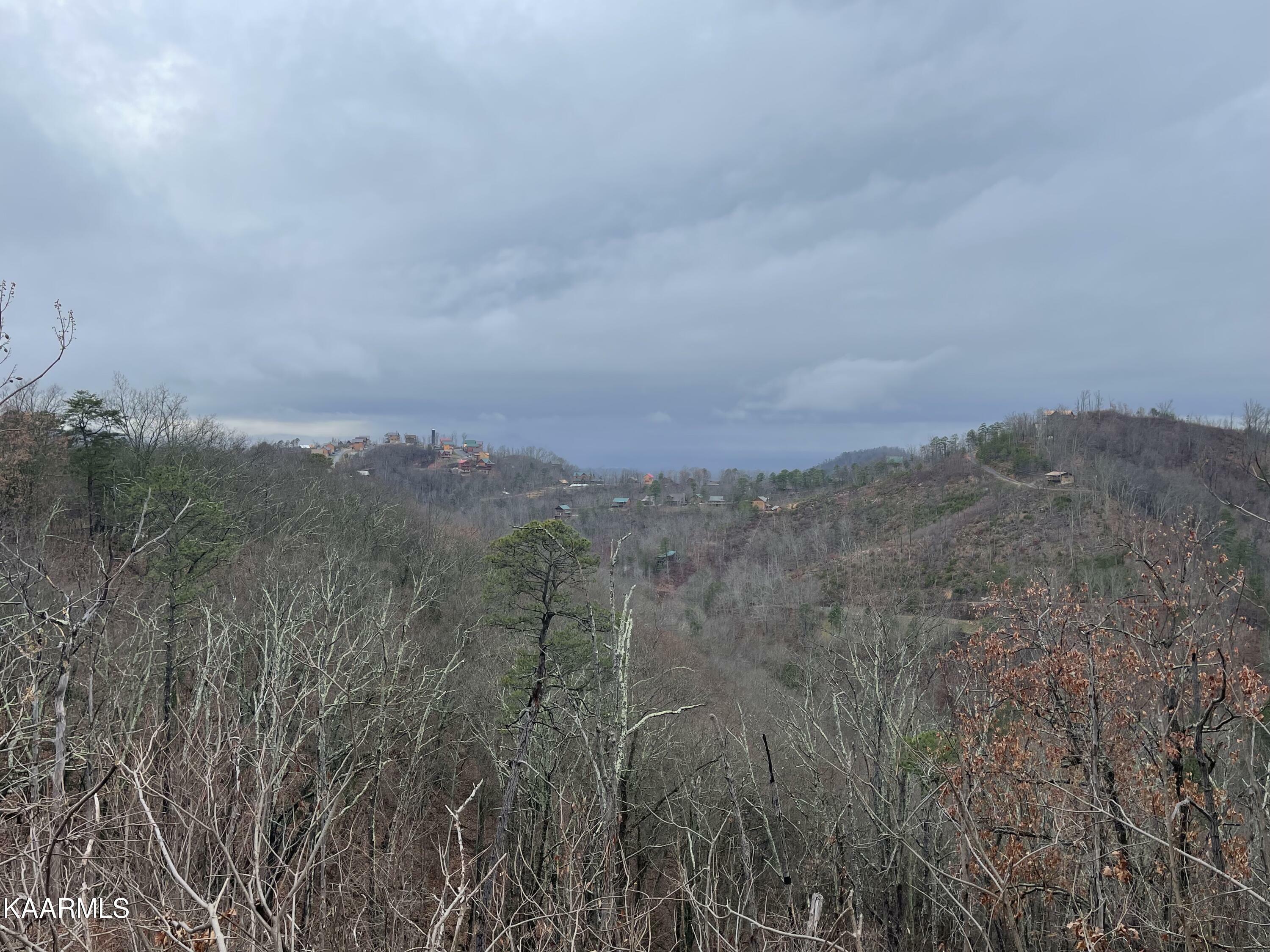 Property Photo: 2109 Bluff View Way TN 37876