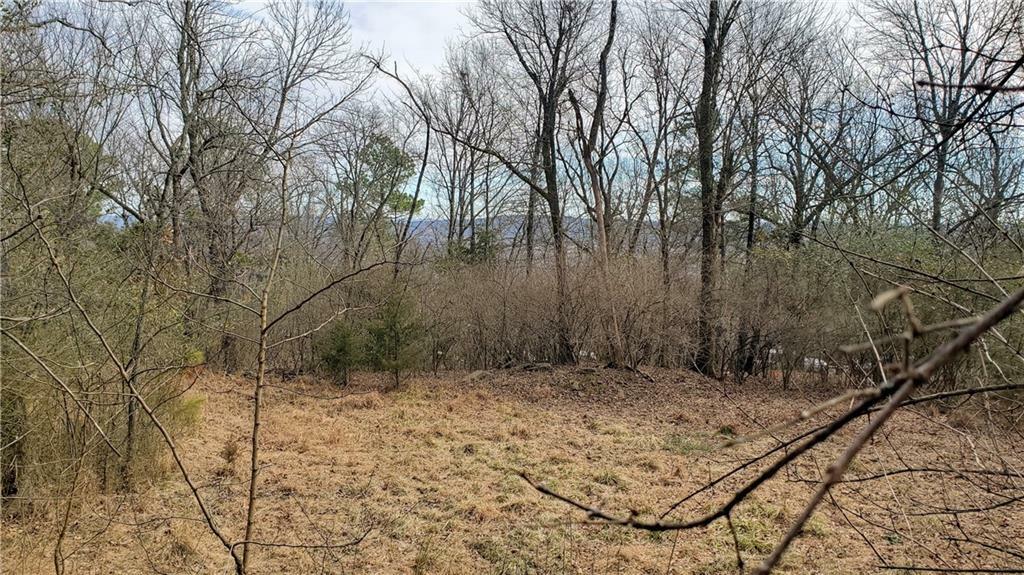 Property Photo:  Lot 28 E Clark Street  AR 72701 