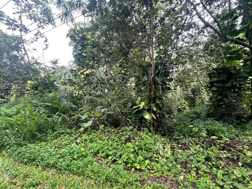 Property Photo:  N Ono St  HI 96778 