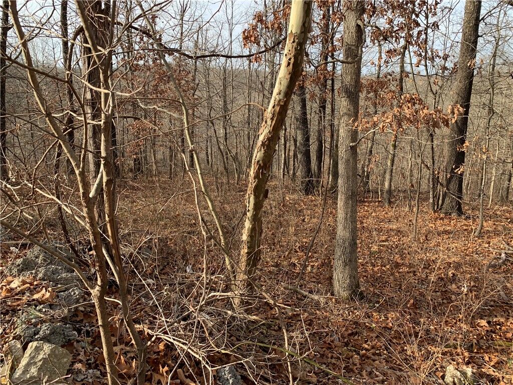 Property Photo:  Pylle Lane  AR 72715 