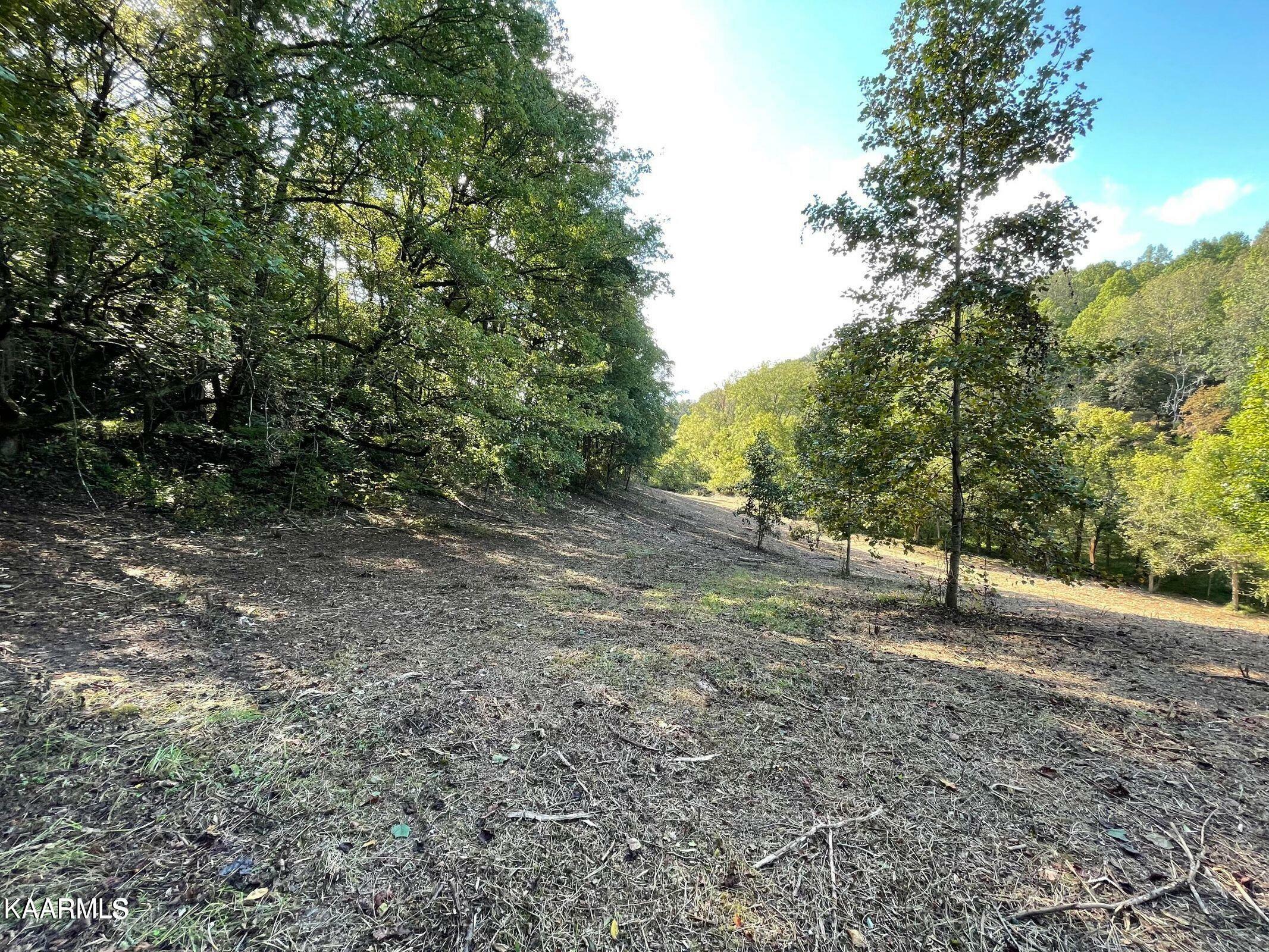 Property Photo:  Earls Hollow Rd  TN 37870 