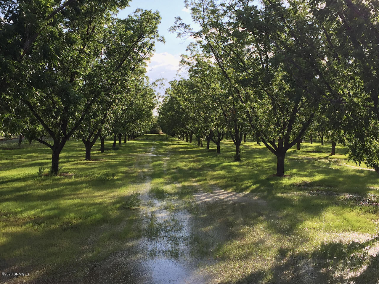 Property Photo: 3005 Burkett NM 88021