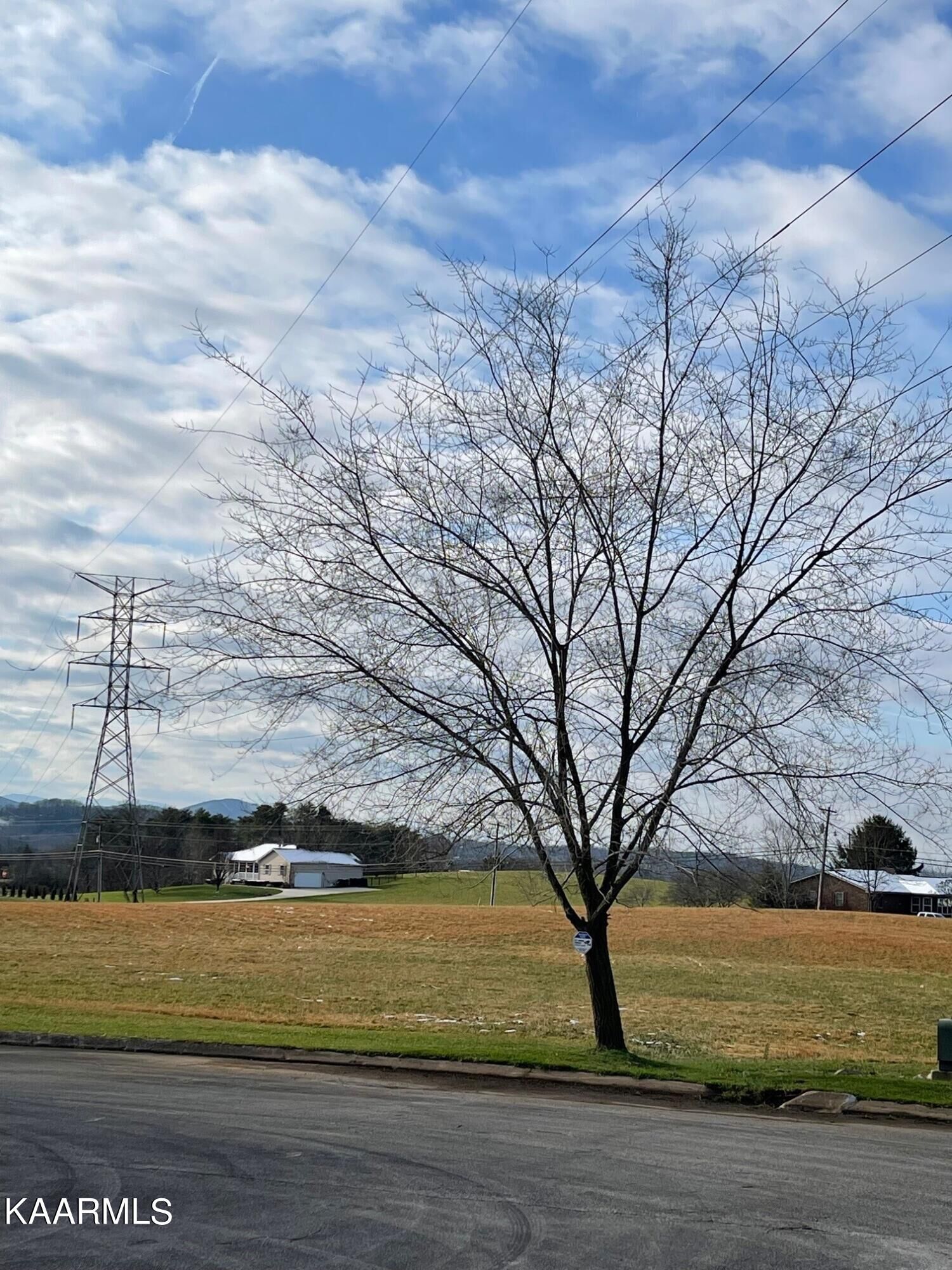 Property Photo:  Lot 7 Mint Rd  TN 37803