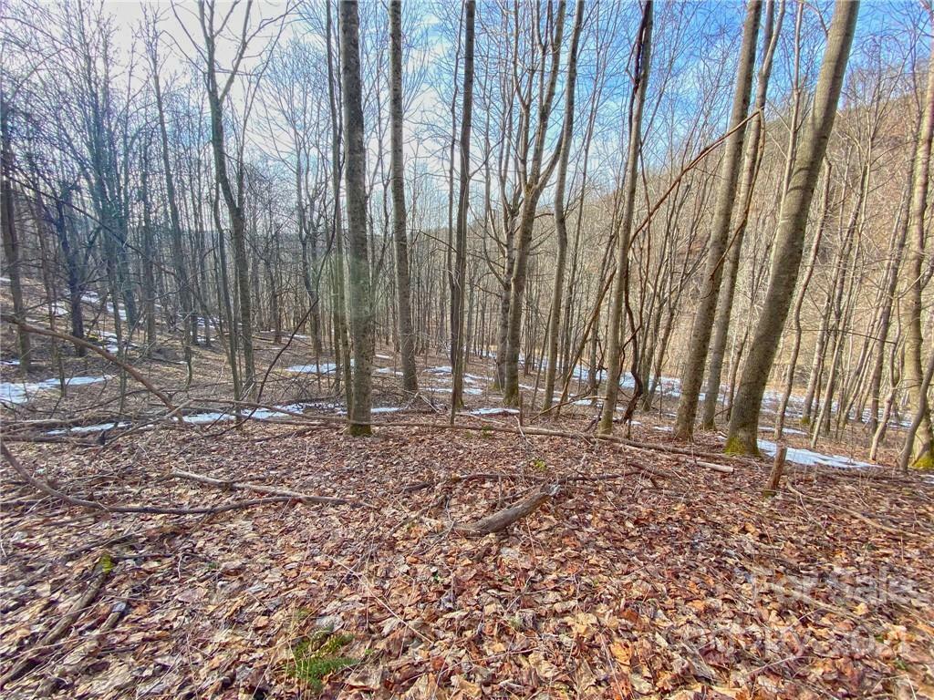 Property Photo:  Tbd Amos Creek Road  NC 28753 