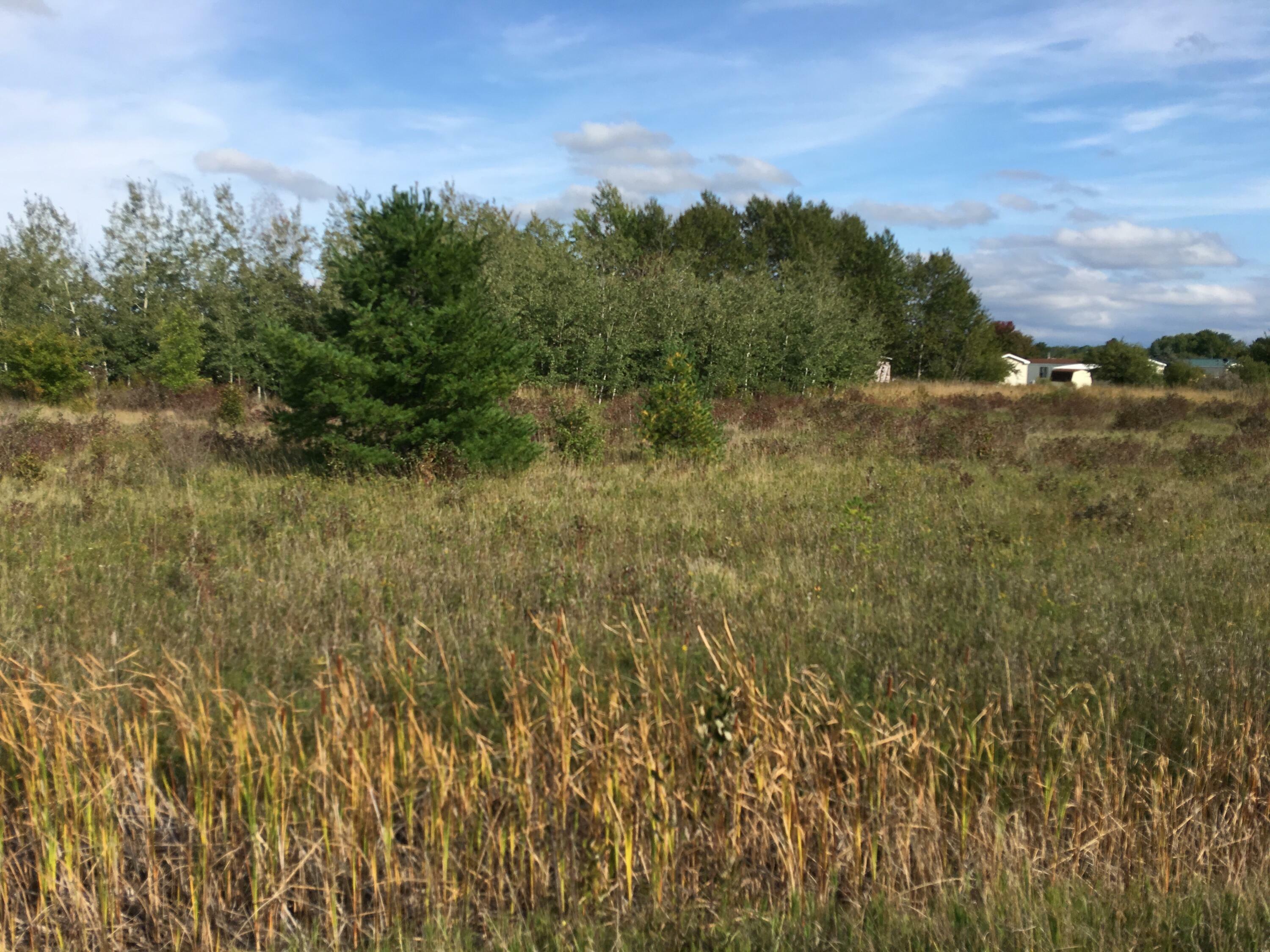 Property Photo:  Townline Road 2.29 Acres  MI 49721 