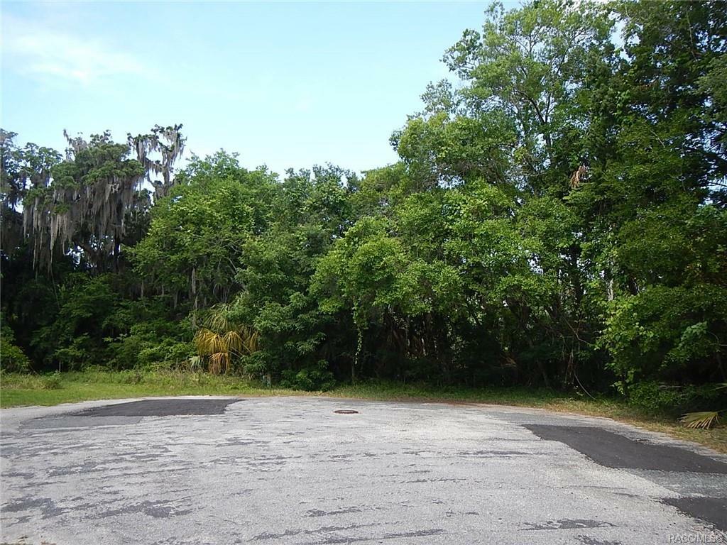 11479 W Greenspring Court  Homosassa FL 34448 photo