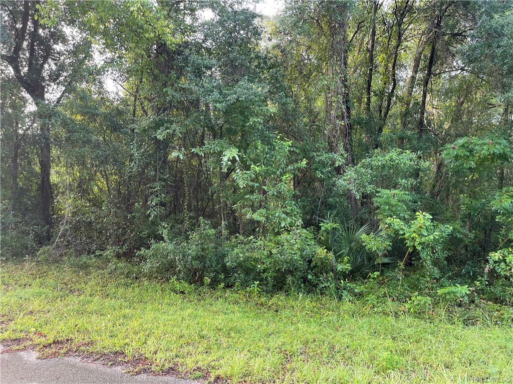 Property Photo:  1626 W Stafford Street  FL 34442 