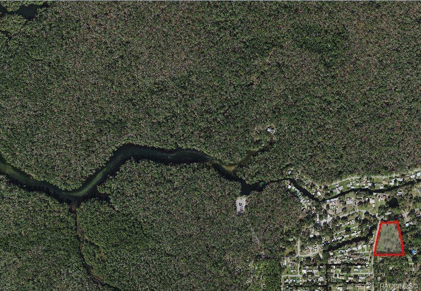 10191 McClung Loop  Homosassa FL 34448 photo