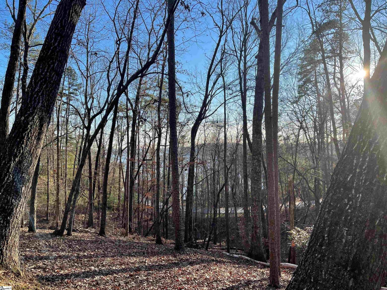 Property Photo: 167 S Falls Road SC 29685