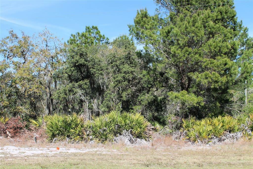 Property Photo: 0 Camp Mack Road FL 33898