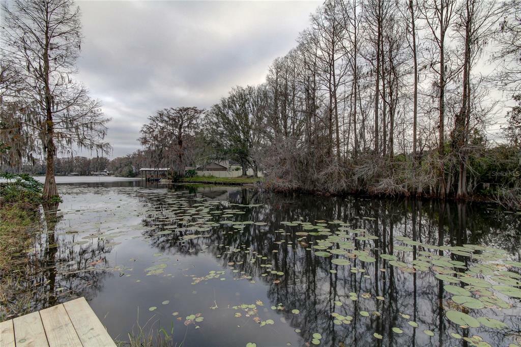 Property Photo:  11039 Lake Shore Drive  FL 34637 