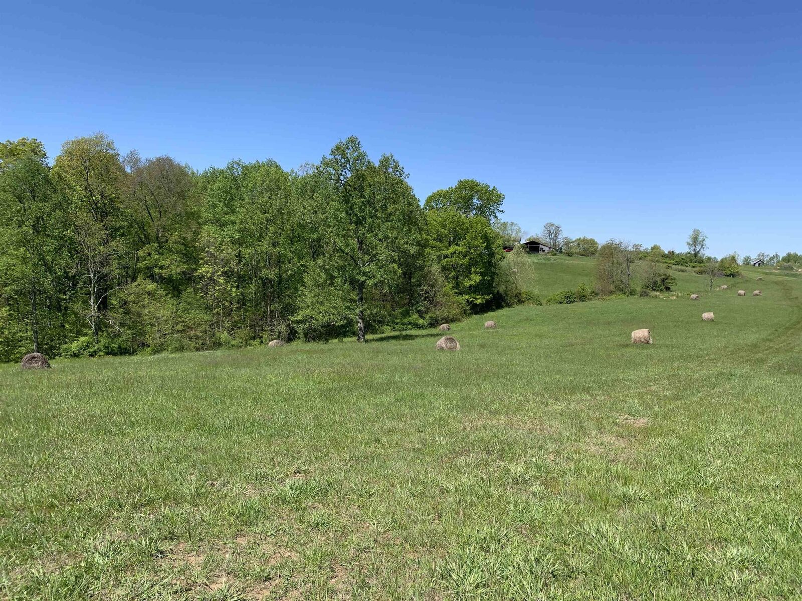 Property Photo:  Lot 2 N State Road 45 Highway  IN 47424 