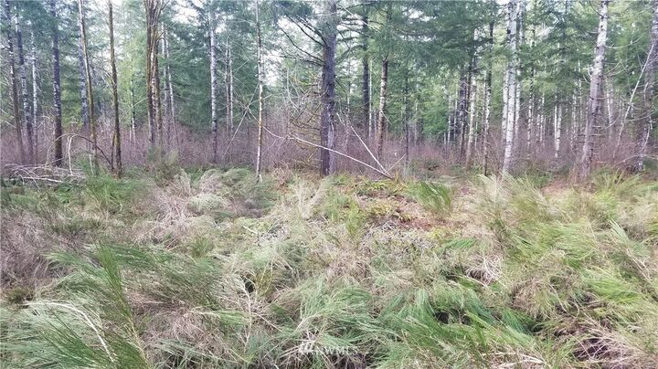 Property Photo: 0 Lot 2 W Cooks Place WA 98541