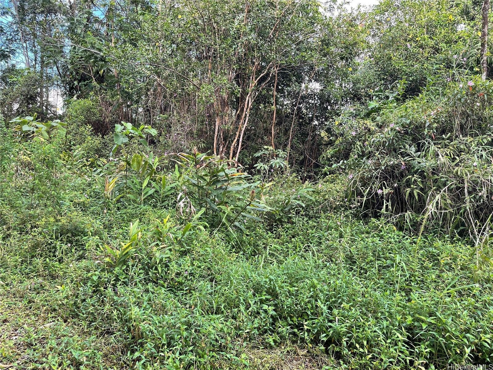 Property Photo:  Lot 19 Gardenia Drive  HI 96778 