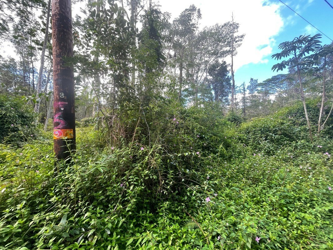 Property Photo:  14-3444 Seadrift Rd  HI 96778 