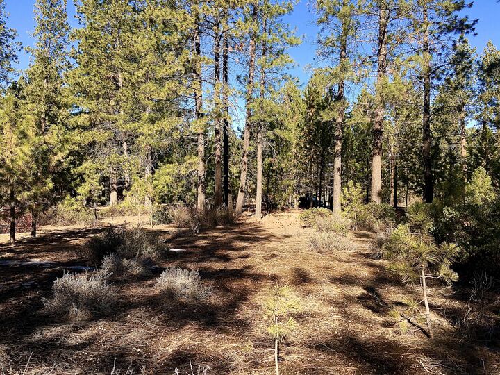 19203 Kiowa Road  Bend OR 97702 photo