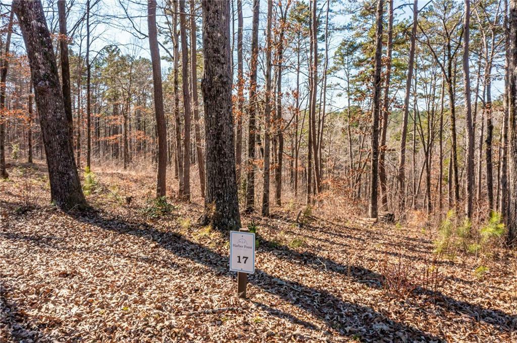 Property Photo:  00 Aqua View Drive Lot 17  SC 29672 