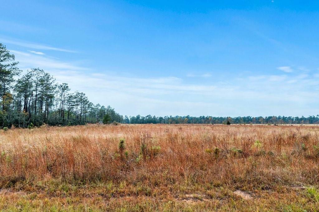 Property Photo:  McCorquodale Lot 21 Road  LA 70652 