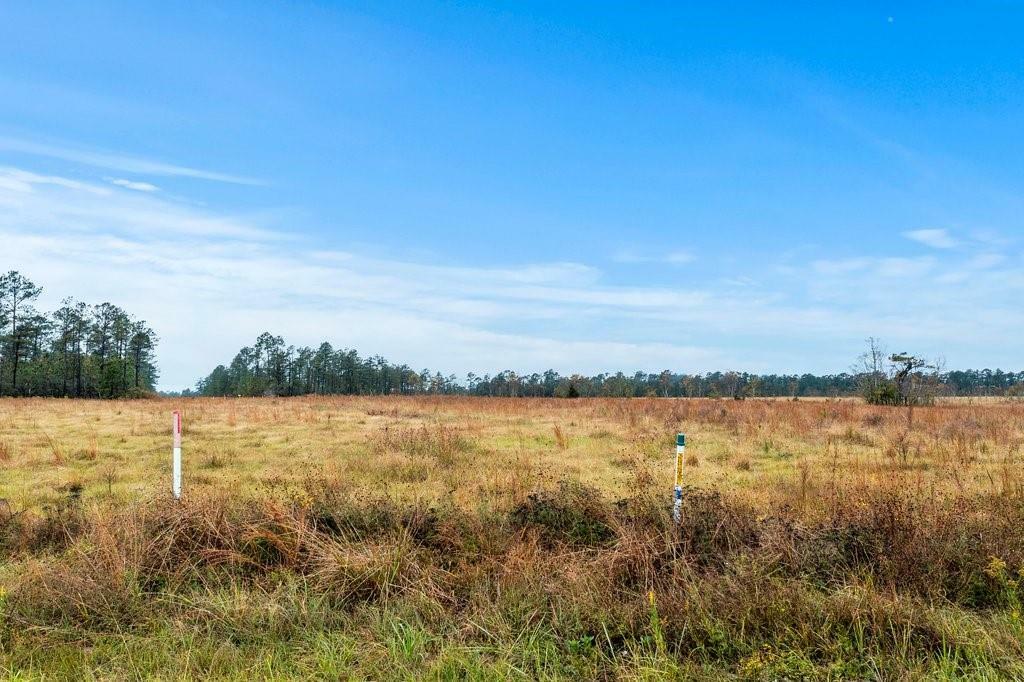 Property Photo:  Alcock Lot 1 Road  LA 70652 