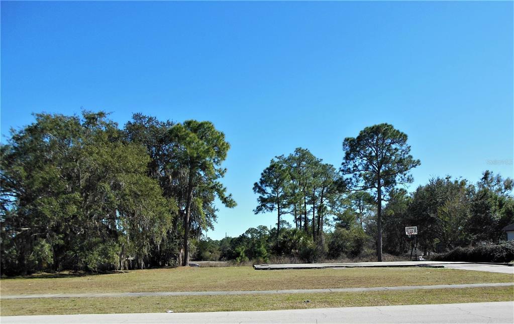 Property Photo:  2161 Brewster Drive  FL 32738 