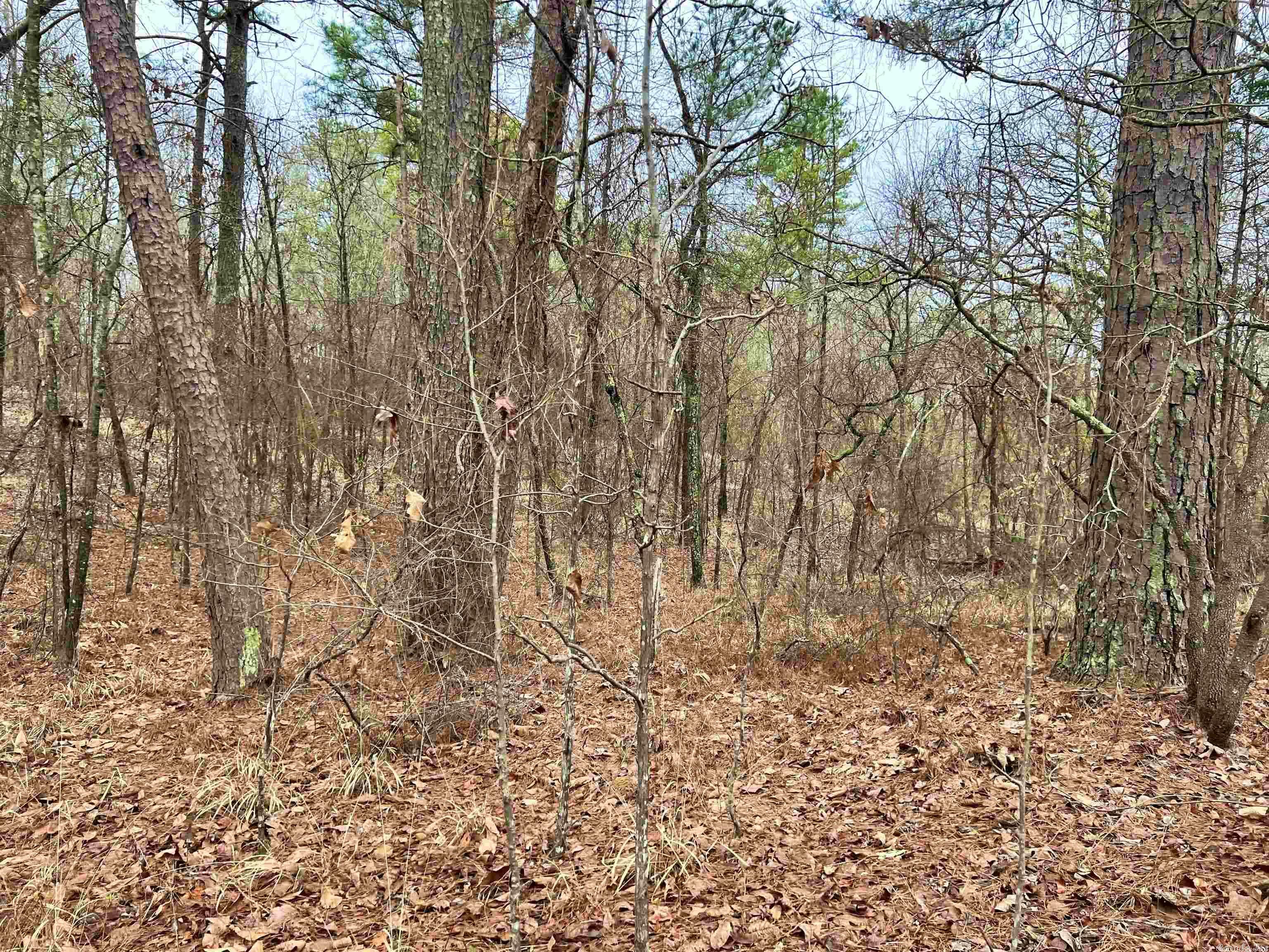 Property Photo:  Xxx Graves  AR 71964 