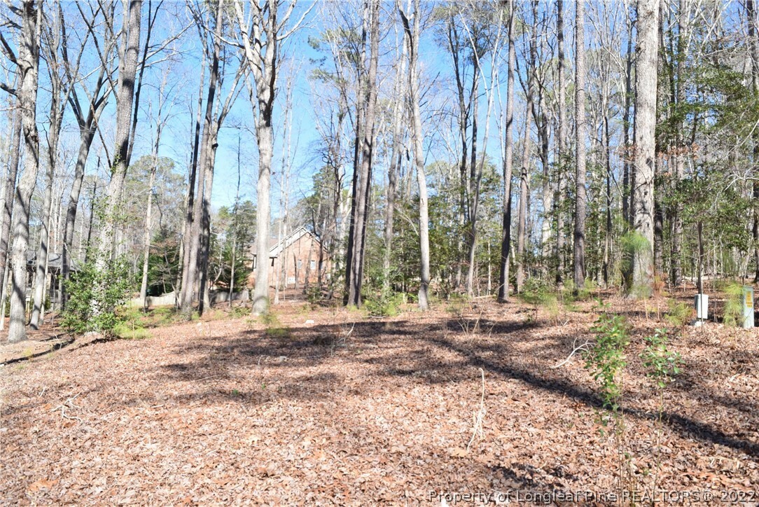 Property Photo:  0 Rye Road  NC 27332 