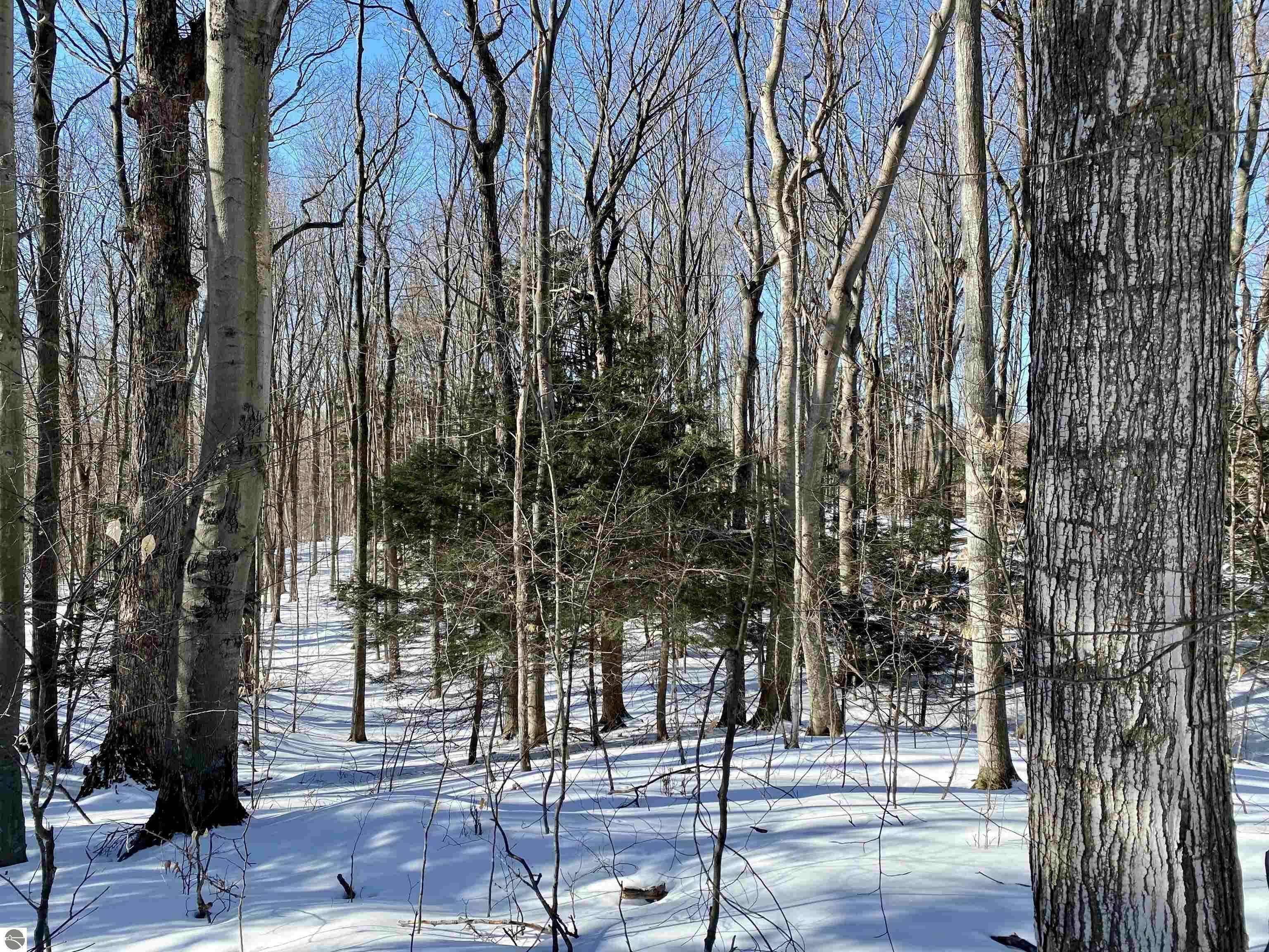 Property Photo:  000 Nichols Road  MI 49617 