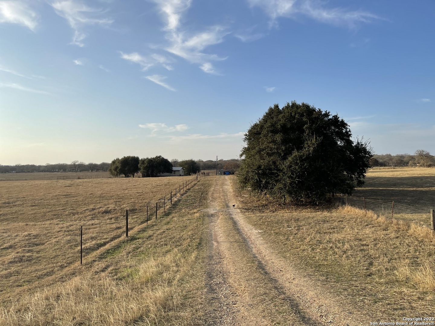 Property Photo: 491 County Road 343 TX 78161