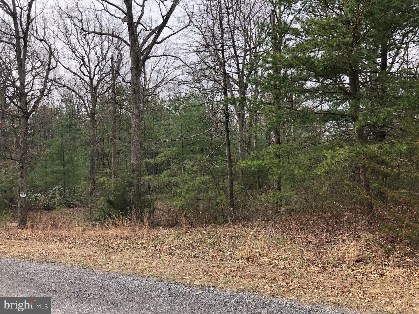 Property Photo:  0 Timber Ridge Trail Lot 298  VA 22602 