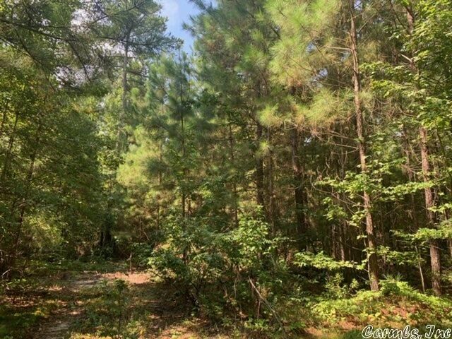 Property Photo: Lot 13 Oklahoma Inn Road AR 72015