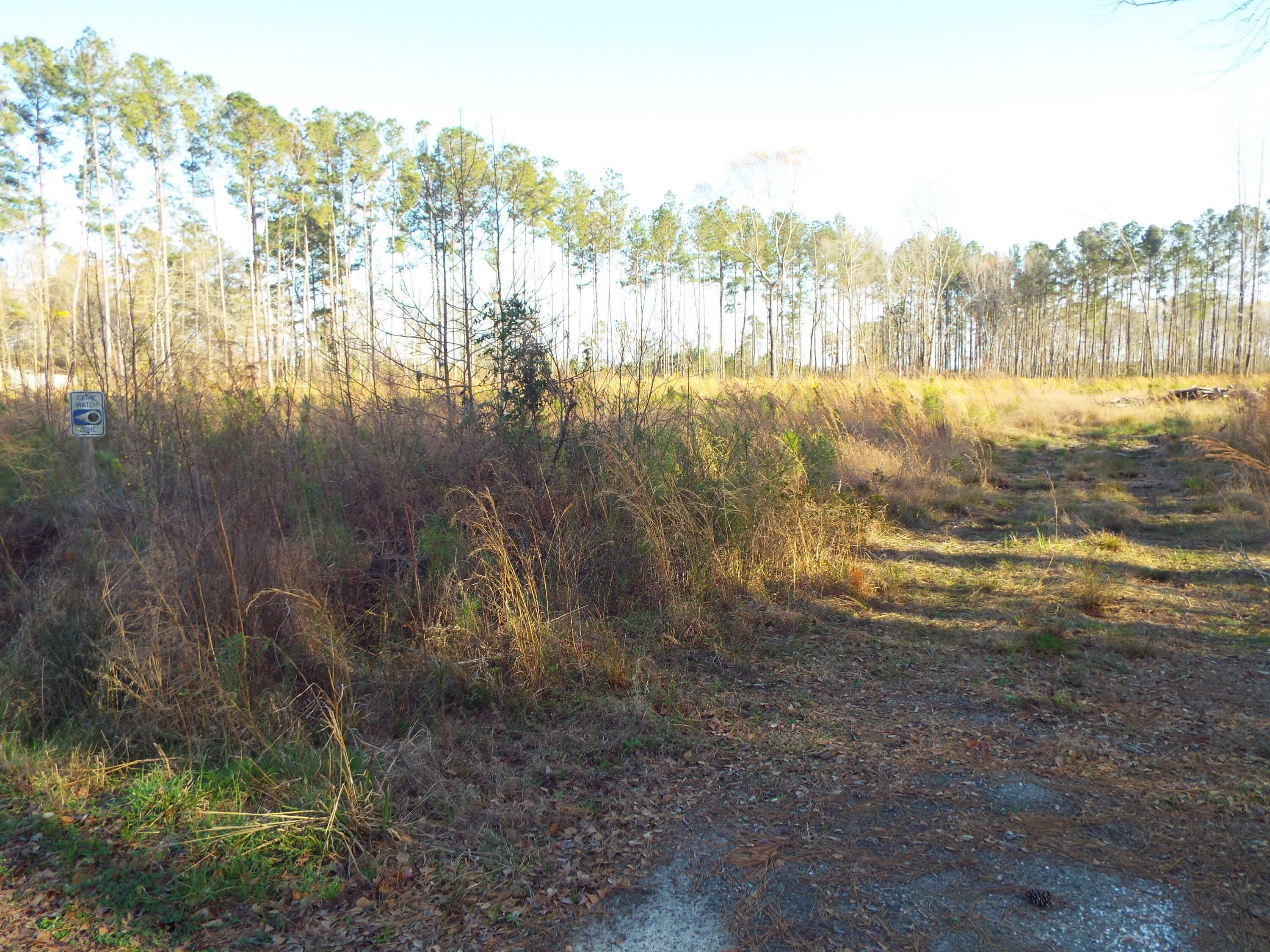 Property Photo:  1085 Lot B Whitehouse Road  SC 29486 